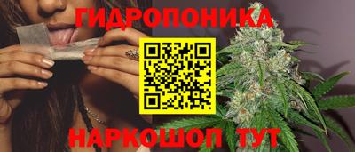 МДПВ Кунгур